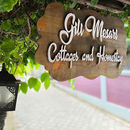 Gili Mesari Cottages & Homestay Gili Trawangan Exterior photo